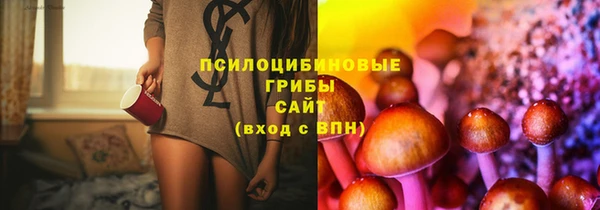 мдпв Покровск
