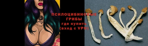 мдпв Покровск