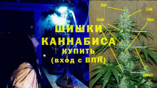 соль ск Абаза