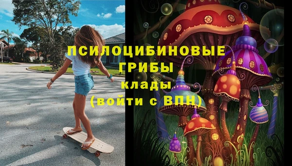 ПСИЛОЦИБИНОВЫЕ ГРИБЫ Абдулино