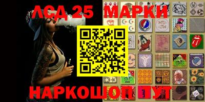 крисы Донской