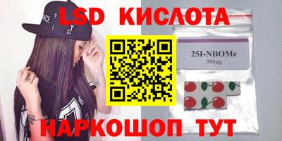 шишки Заволжье