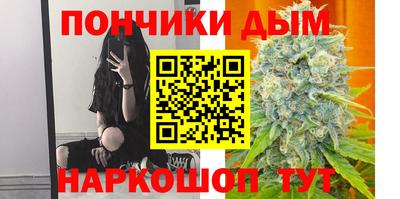 шишки Заволжье