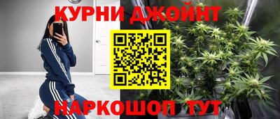 крисы Донской