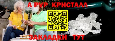 шишки Заволжье