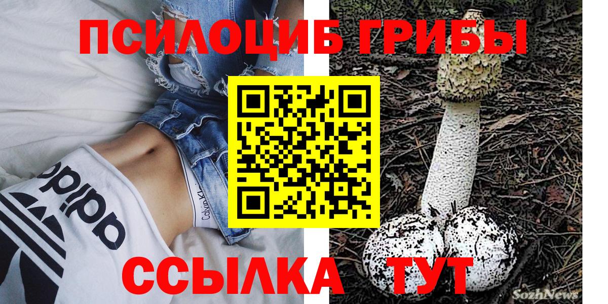 Псилоцибиновые грибы MAGIC MUSHROOMS  Вход с VPN  Майский 